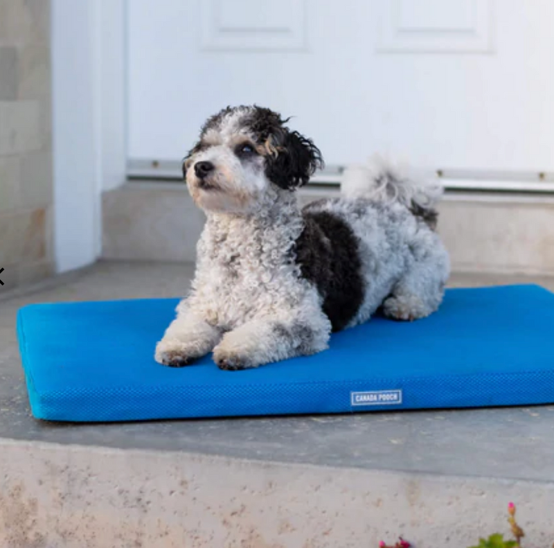 Load image into Gallery viewer, Canada Pooch Chill Out Cooling Mat
