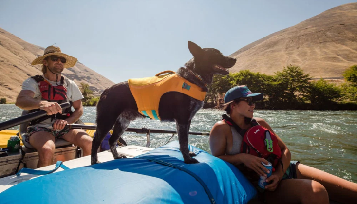 Load image into Gallery viewer, Ruffwear Float Coat Red - Discover Dogs Online
