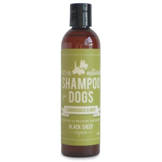 Black Sheep Lemongrass Mint Organic Shampoo