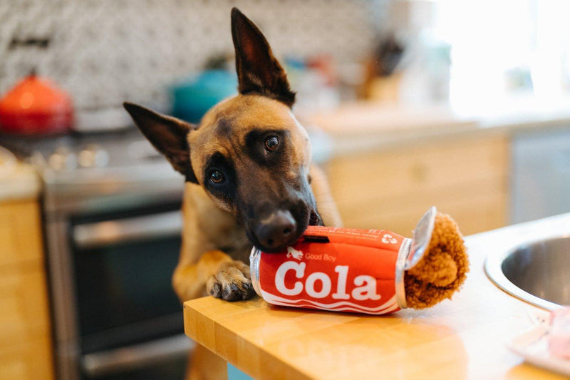 Load image into Gallery viewer, PLAY Snack Attack Good Boy Cola
