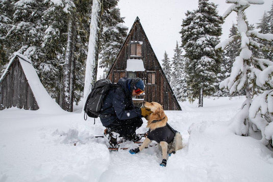 Retriever in the snow wearing a Ruffwear cloud chaser jacket, cuddling human wearing snowshoes