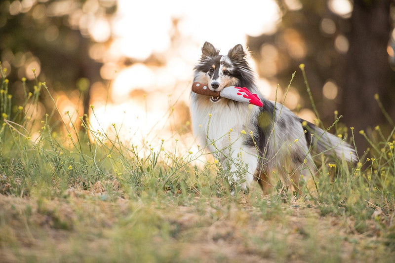 Load image into Gallery viewer, PLAY Howling Haunts Doggy Dagger
