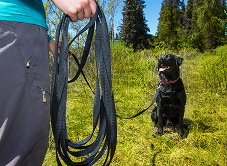 Pro Dog 5m Long Line: Brass Clip - Pro Dog Training