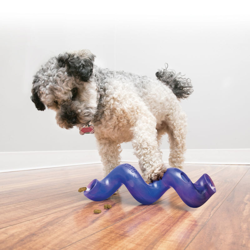 Load image into Gallery viewer, Kong Treat Spiral Stick - Discover Dogs
