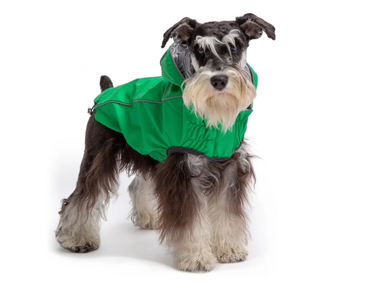 GF Pet Reversible Raincoat Green