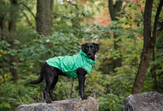 GF Pet Reversible Raincoat Green