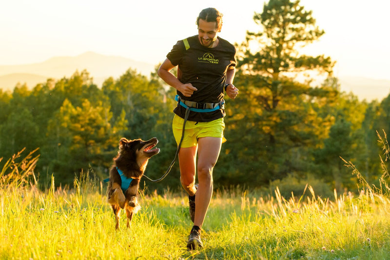 Load image into Gallery viewer, Ruffwear Trail Runner System
