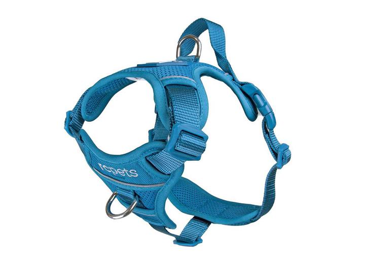 Load image into Gallery viewer, RC Momentum Harness Teal - Discover Dogs Online
