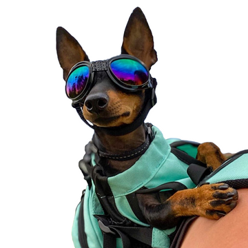Load image into Gallery viewer, K9 Sport Shades Doggles
