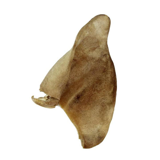 VE FD Pig Ears - Discover Dogs Online