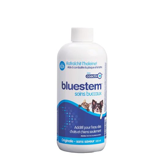 Bluestem Oral Care Water Additive 500ml - Discover Dogs