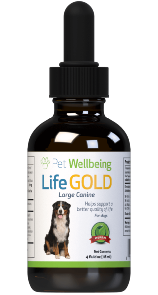 PW Life Gold - Discover Dogs Online
