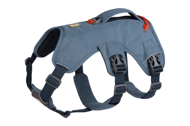 Load image into Gallery viewer, Web Master™ Dog Harness with Handle

