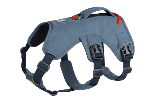 Web Master™ Dog Harness with Handle