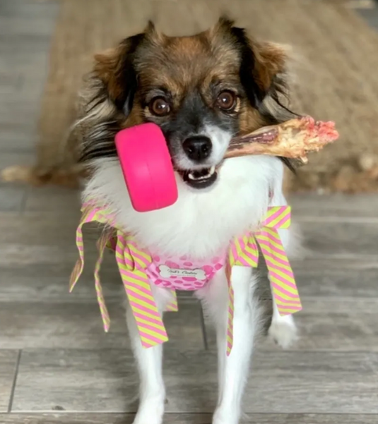 Bully brand top dog toys