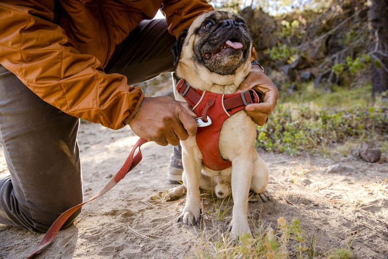 Load image into Gallery viewer, Ruffwear Front Range Harness Red Clay
