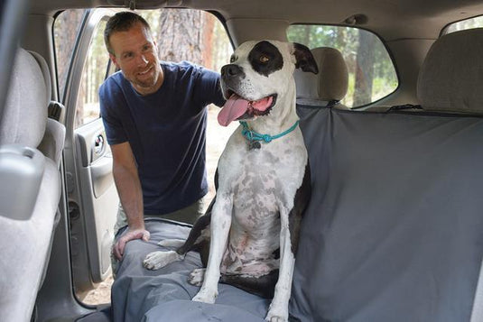 large dog sitting in back seat of car, using Ruffwear dirtbag seat cover