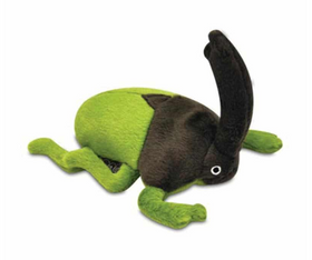 Play Ryan The Rhine Beetle