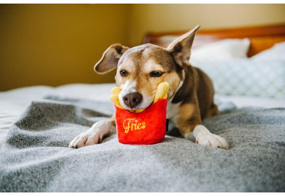 Load image into Gallery viewer, PLAY Fries - Discover Dogs Online
