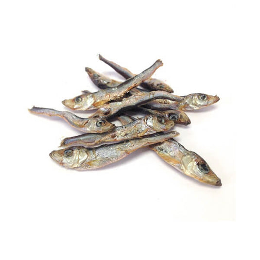Granville Island Sardines - Discover Dogs Online